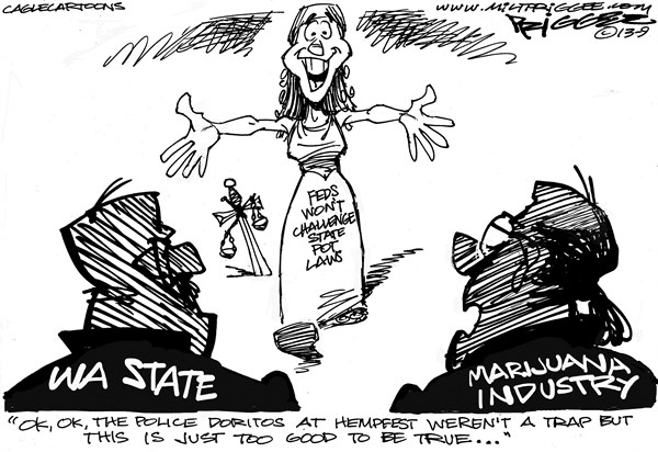 states vs federal rights political cartoon